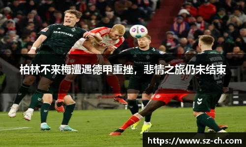 55世纪官网
