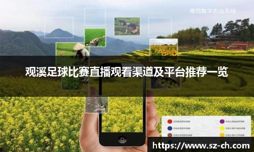 55世纪官网