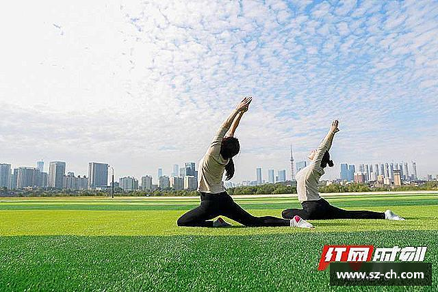 发现55世纪官网